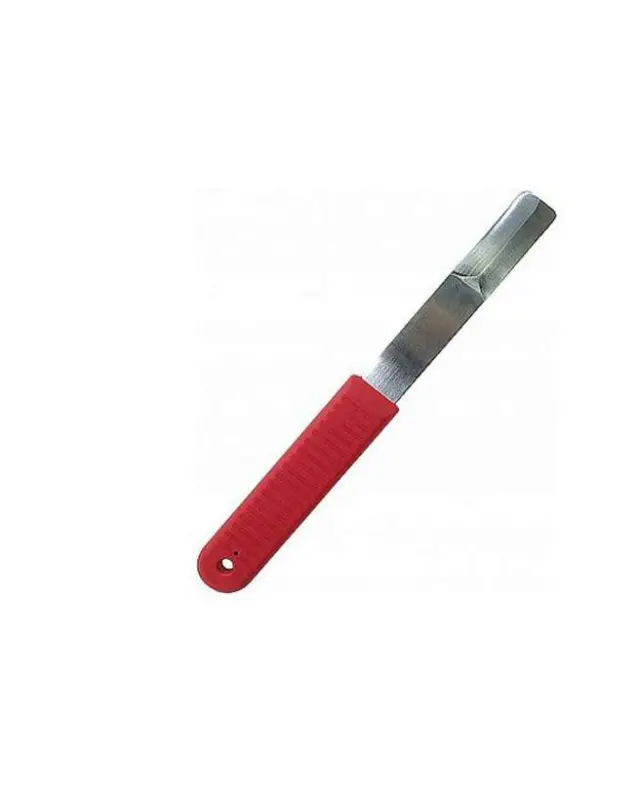 Non Perdere COLTELLO FORGET PER MASCALCIA