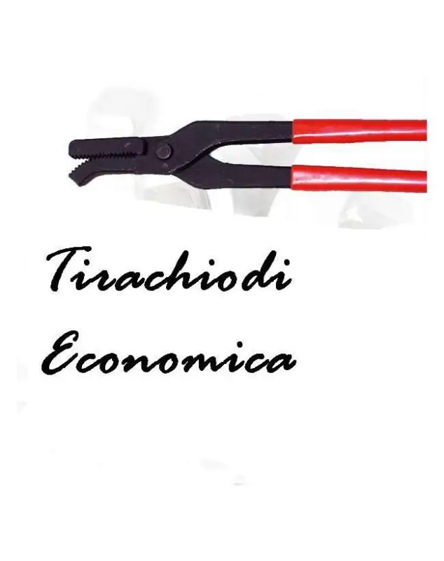 TIRACHIODI ECONOMICA PER TIRARE I CHIODI Esclusivo