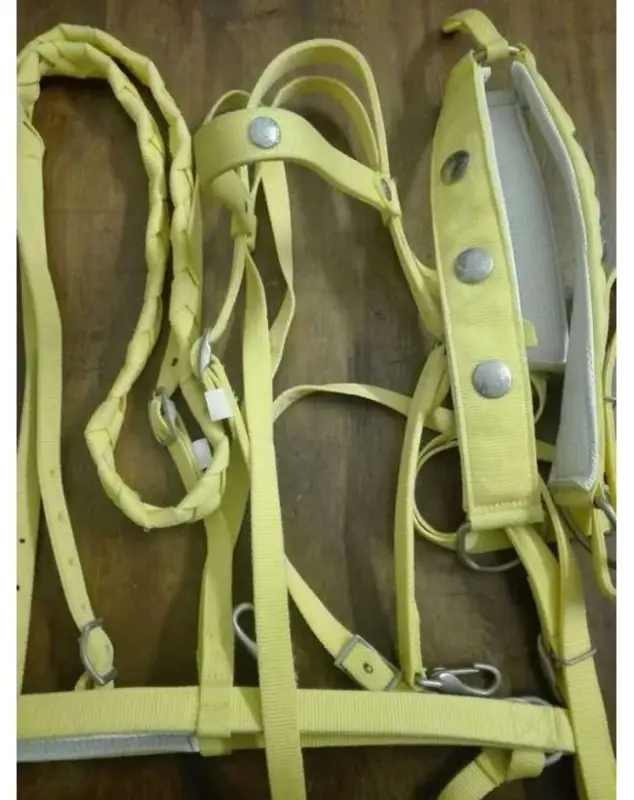 Soddisfatti O Rimborsati COMPLETO WESTERN BRIGLIA REDINI ABBASSATESTA E PETTORALE IN NYLON