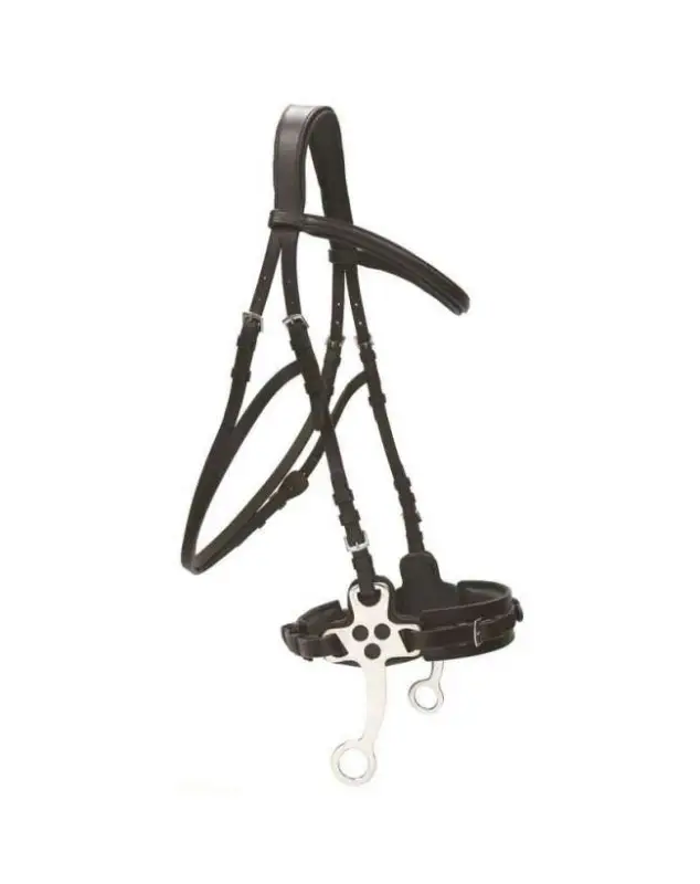Nuova Collezione BRIGLIA INGLESE IN CUOIOCON HACKAMORE INCLUSO