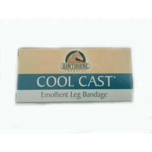 Esclusivo BENDA COOL CAST PER CAVALLI