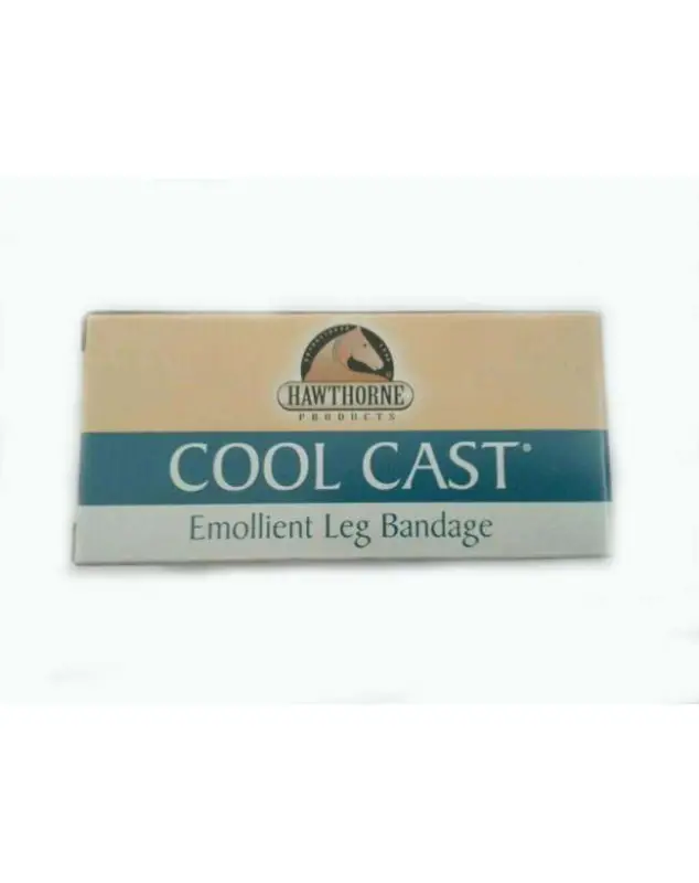 Esclusivo BENDA COOL CAST PER CAVALLI