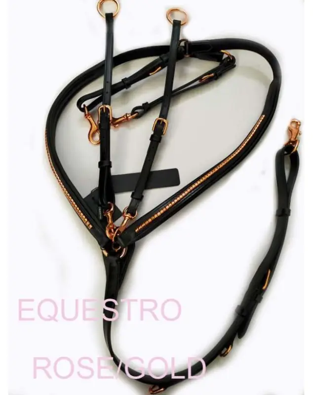 Compra Adesso PETTORALE EQUESTRO CLINCHER ROSE/GOLD