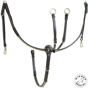 Affare PETTORALE INGLESE IN CUOIO CON CLINCHER OTTONE