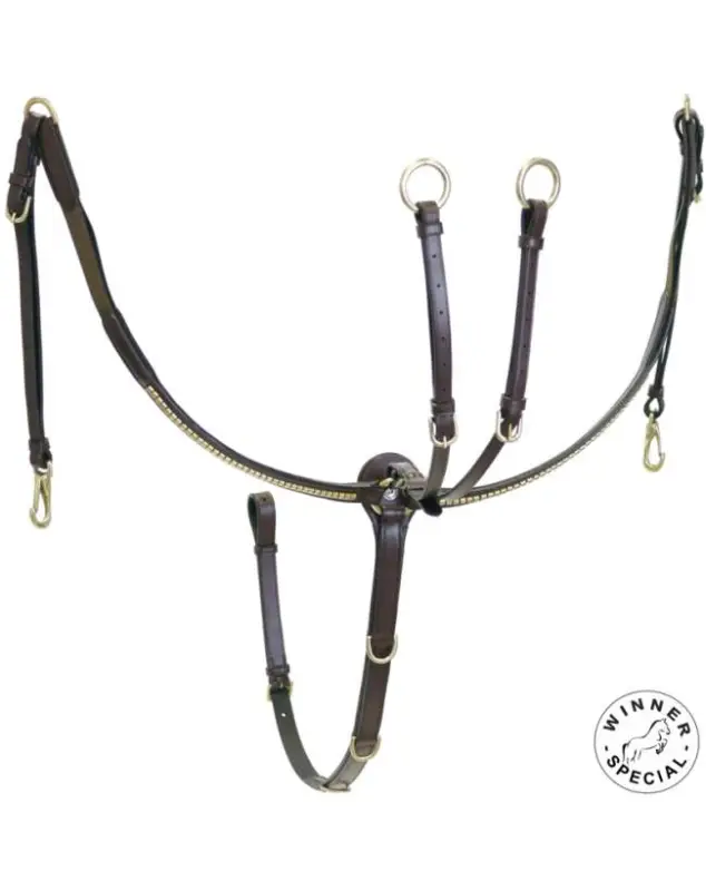 Affare PETTORALE INGLESE IN CUOIO CON CLINCHER OTTONE