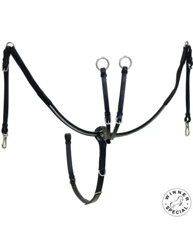 Occasione Imperdibile PETTORALE WINNER SPECIAL CLINCHER ARGENTO