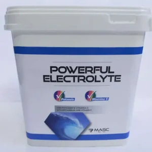 Affare POWERFUL ELECTROLYTE IN POLVERE PER CAVALLI