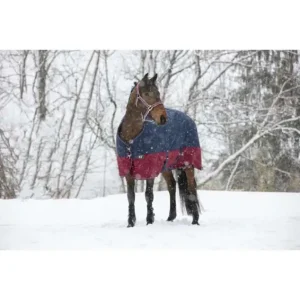 COPERTA DA PADDOCK EQUITHEME 1200 DENARI 300 GRAMMI Affare