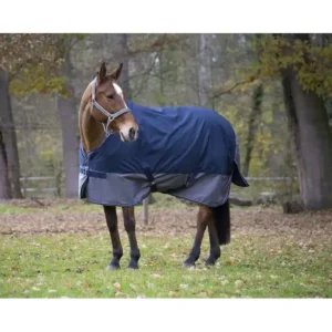 Occasione COPERTA DA PADDOCK SENZA IMBOTTITURA FODERA PILE