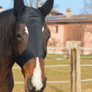 MASCHERA IN LYCRA ELASTICIZZATA Ordina Subito