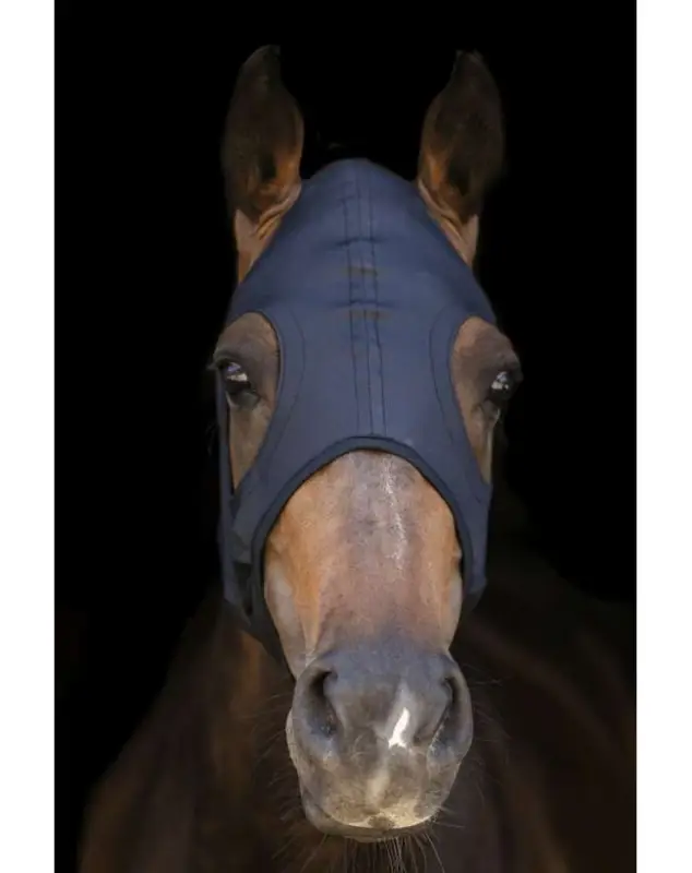 TITANIUM MASCHERA LAMICELL PER CAVALLI Più Venduto