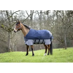 COPERTA DA PADDOCK 600 DENARI COPERTURA SOTTOPANCIA Di Tendenza