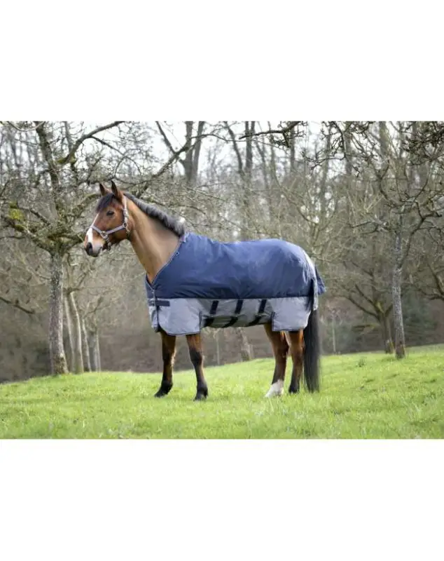 COPERTA DA PADDOCK 600 DENARI COPERTURA SOTTOPANCIA Di Tendenza