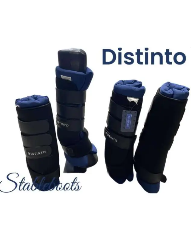 SET 4 STABLE BOOTS BOX DISTINTO Promozione