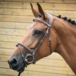 A Buon Prezzo TESTIERA JUMP-IN BRIDON LONDON CON REDINI IN GOMMA