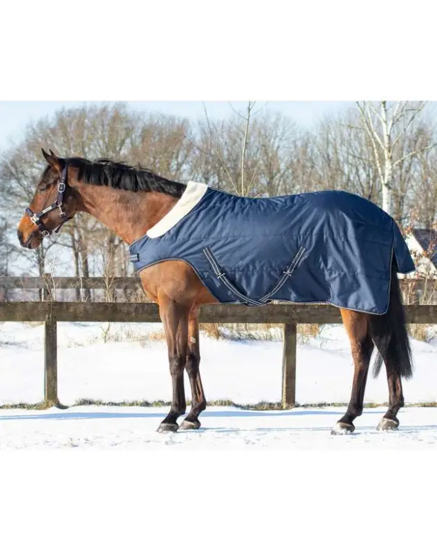 COPERTA DA GIOSTRA PER CAVALLI IMBOTTITURA 200GR. Vendita Finale