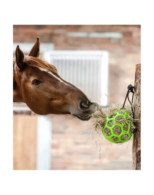 PALLA PER FIENO CAVALLO Economico