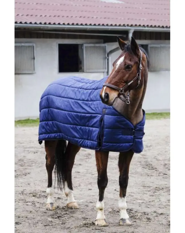 Spedito Oggi SOTTOCOPERTA PER CAVALLO PIUMINO DA 50GR.