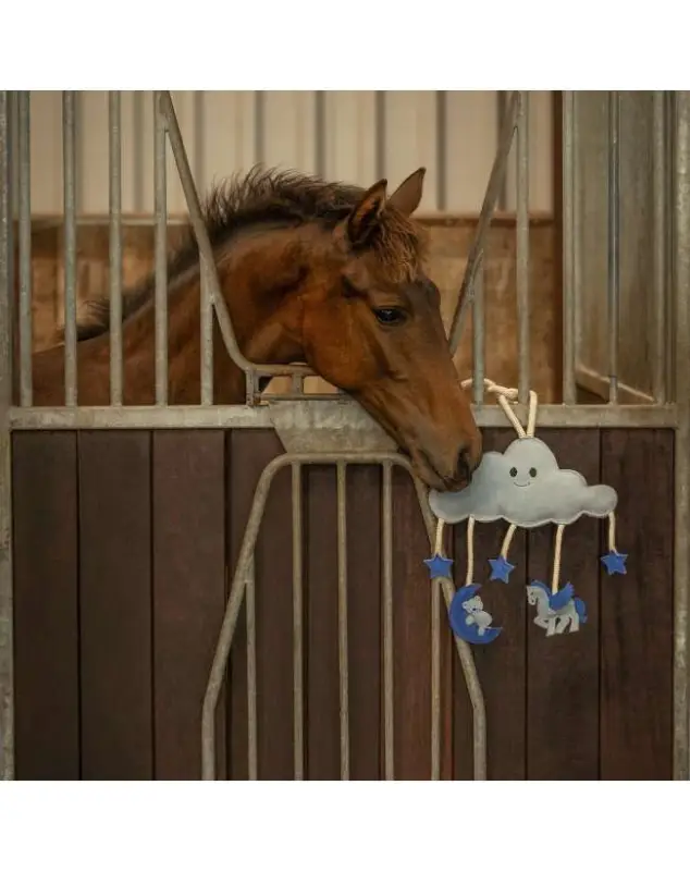 HORSE TOY DA BOX PER CAVALLO Prezzo Conveniente