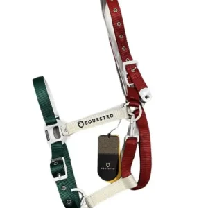 CAVEZZA EQUESTRO BANDIERA ITALIA Solo Oggi