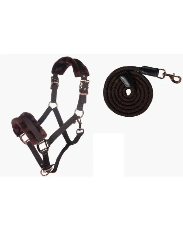 Offerta Del Giorno CAVEZZA E LUNGHINA FIBBIE ROSEGOLD