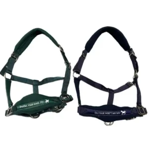 CAVEZZA NYLON IMBOTTITURA PILE Promozione