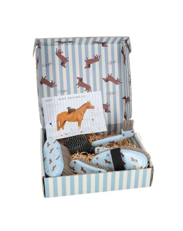 Miglior Prezzo GROOMING SET STABLE BUDDY