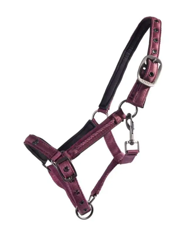 CAVEZZA FOAL LILY IN NYLON DECORATO Quantità Limitata