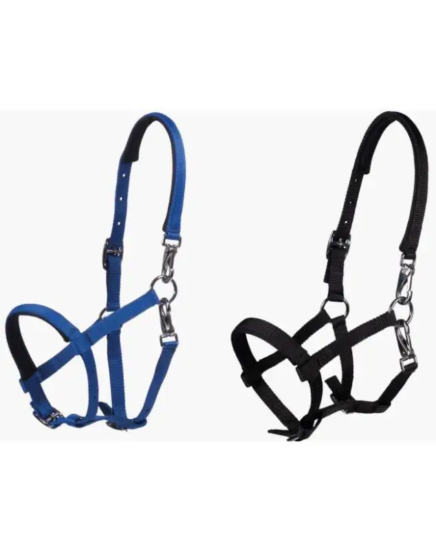 CAVEZZA PER FOAL IN NYLON RIVESTITO NEOPRENE Vendita Finale