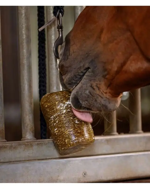 BLOCCO DA LECCARE PER CAVALLO Prezzo Ridotto