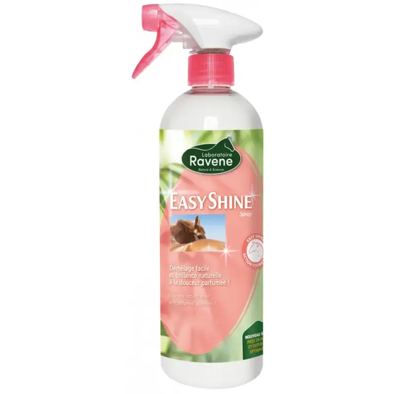Easy Shine lucidante Ravene Offerta