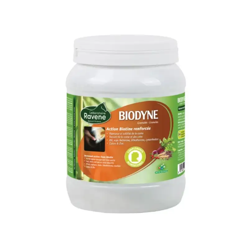 Biodyne Ravene Nuova Collezione