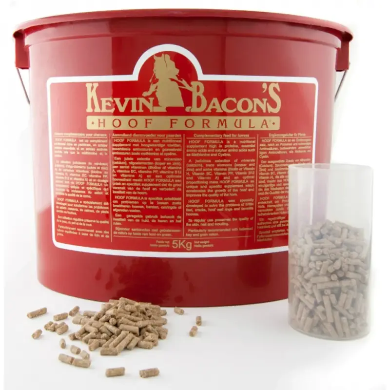Offerta Lampo Formula per zoccoli di Kevin Bacon