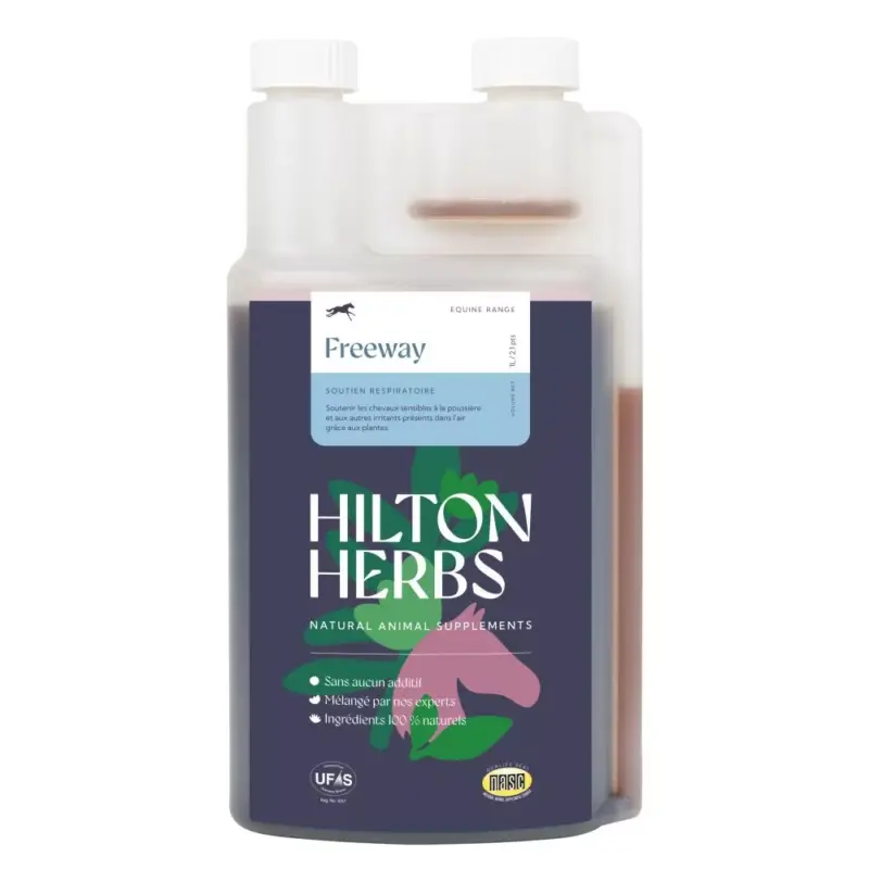 Nuovo Arrivo Freeway Gold Hilton Herbs