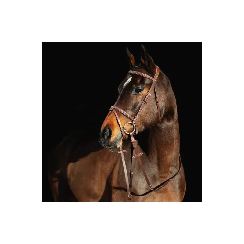 Filet Constance Horze Promo Stagionale