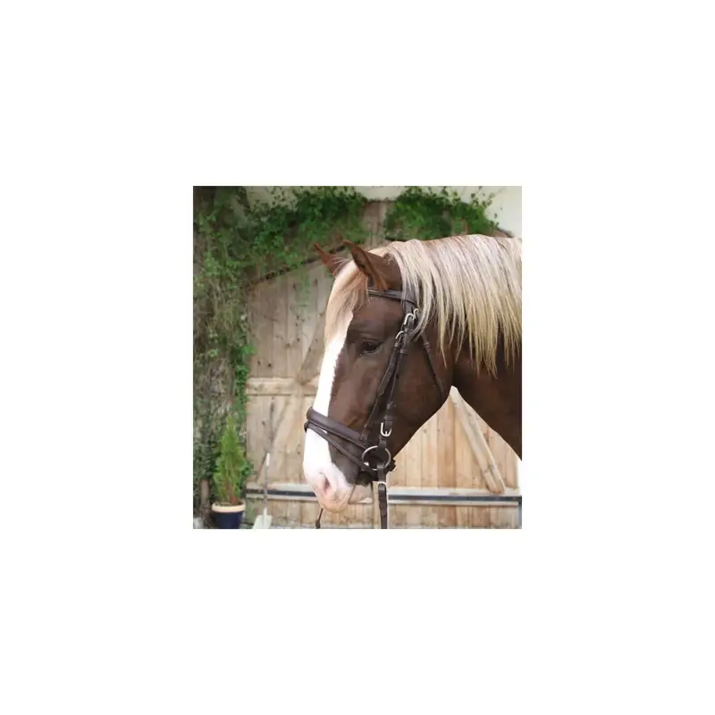Briglia Cavallo da Tiro in Cuoio Non Perdere