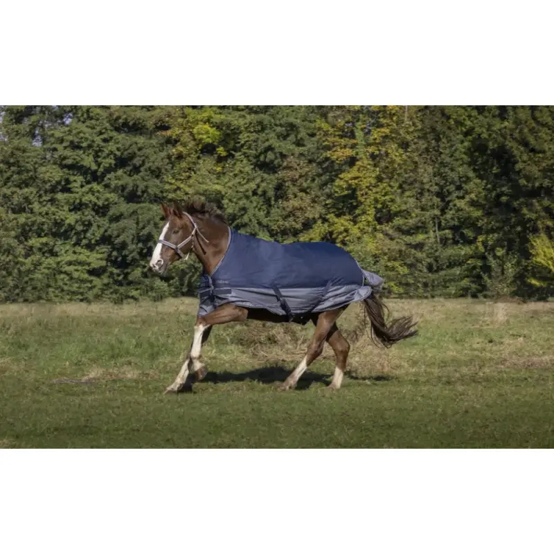 Soddisfatti O Rimborsati Coperta Equithème Tyrex 600 D High Neck 150G