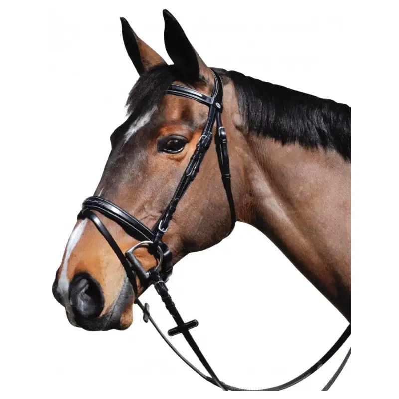 Bridon Lexington Pull Back Boston Promozione Esclusiva