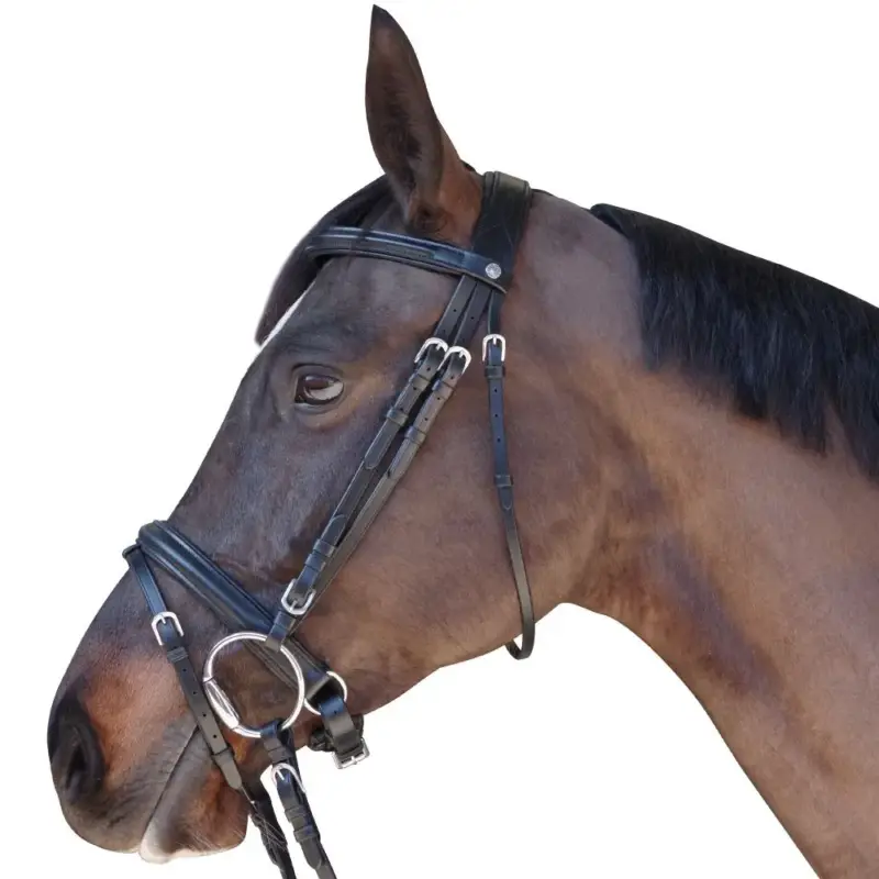 Bridon Pull Back Euro Canter Compra Adesso