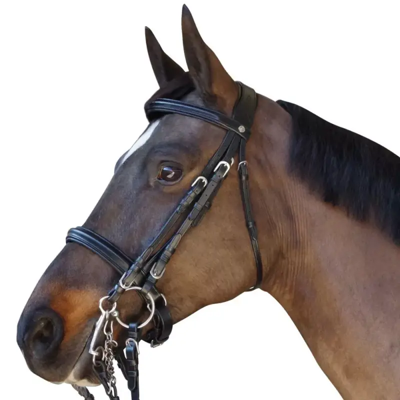 Briglia Pull Back Euro Canter Soddisfatti O Rimborsati