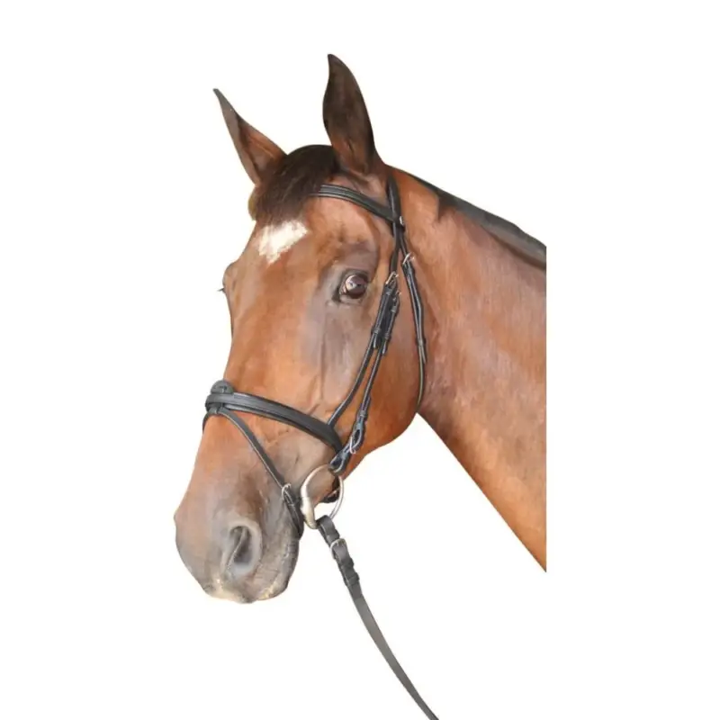 Bridon Cabourg Combinato Privilege Equitazione Reso Gratuito