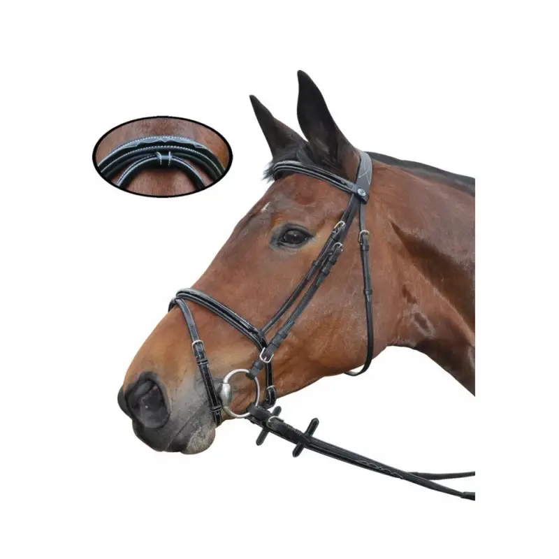 Briglia Nice Combinato Privilege Equitazione Must-Have