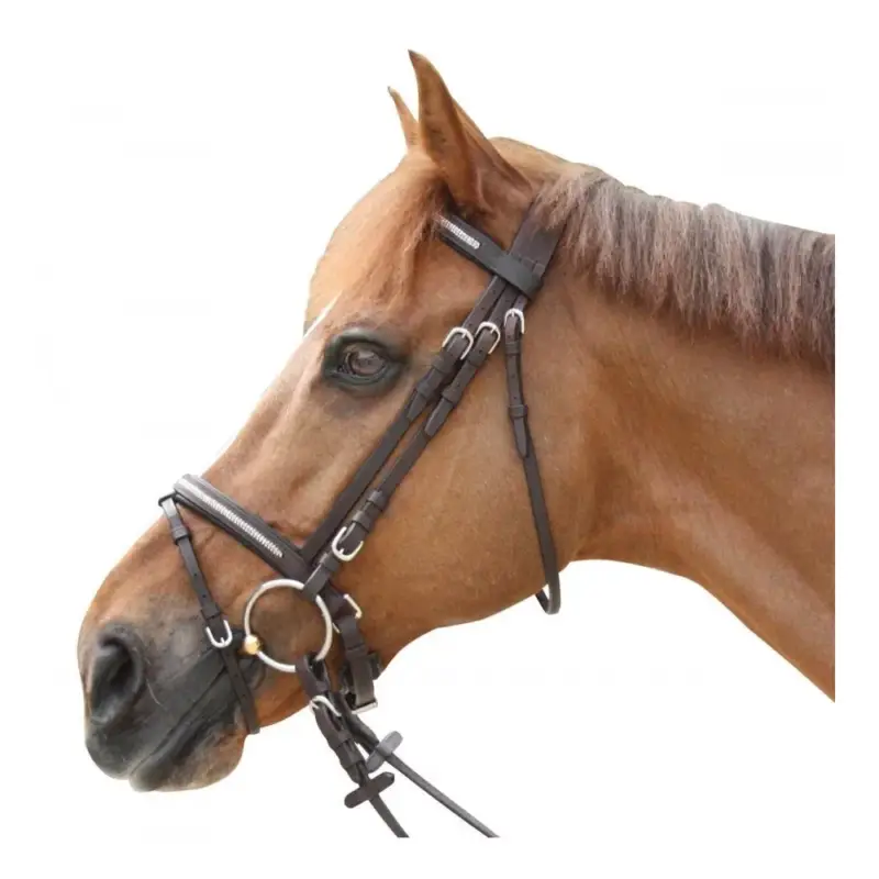 Briglia Pull Back Lacanau Privilege Equitazione Sconto