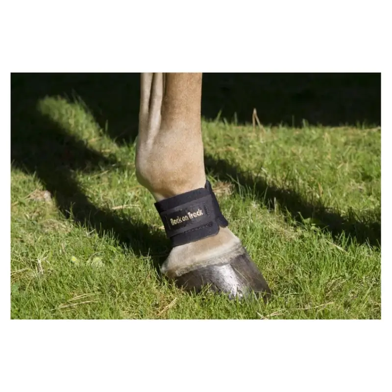 Paranocche Back On Track Professionale
