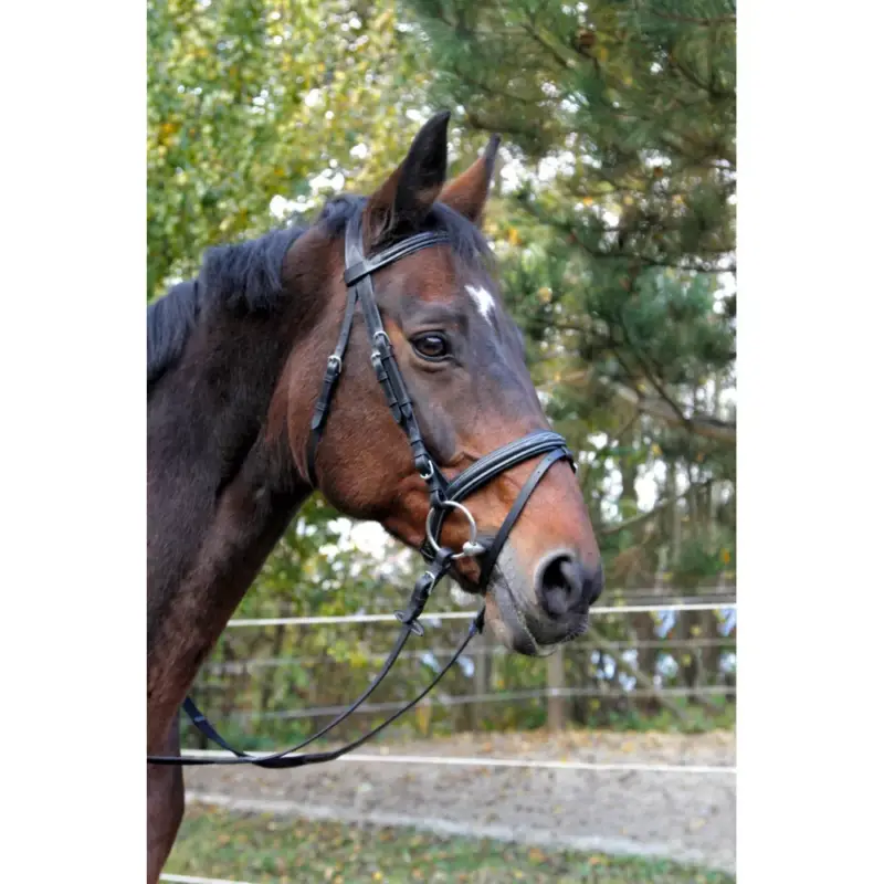 Briglia Classic nera in cuoio Popolare