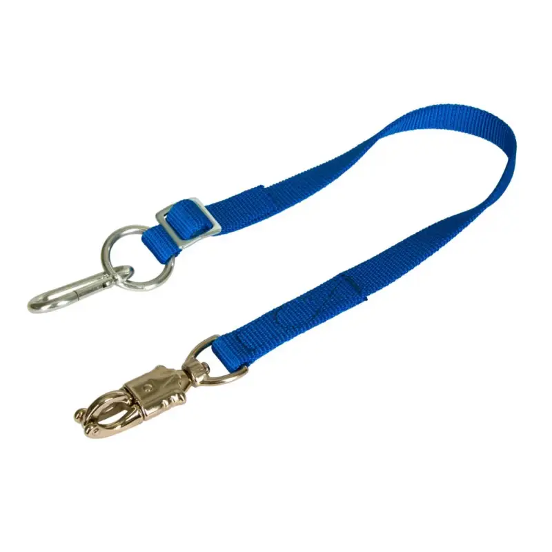 Cinghia di fissaggio regolabile blu Covalliero Promozione Esclusiva