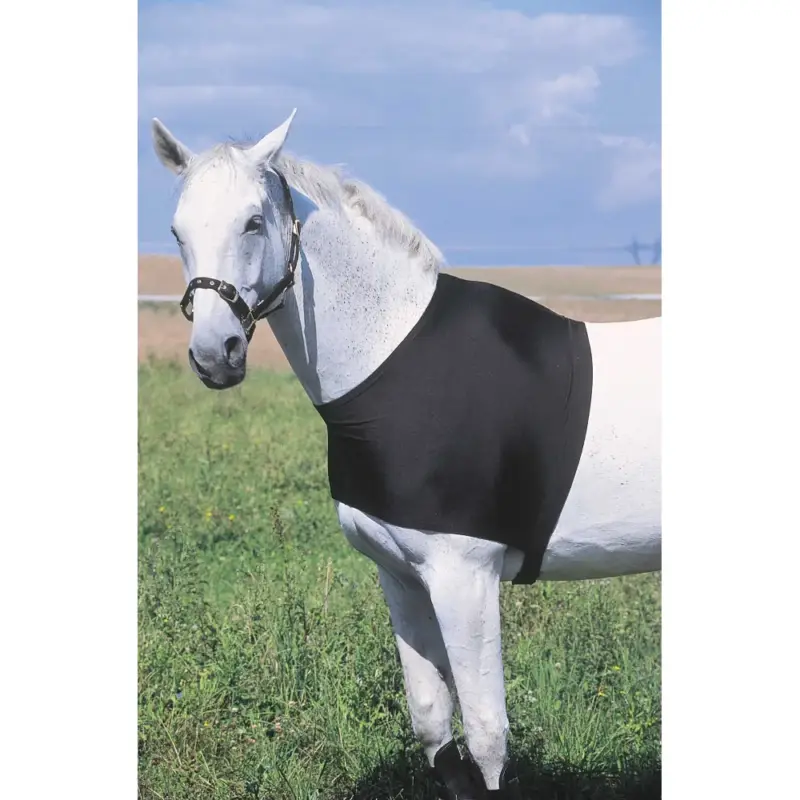 Protezione per spalle Equithème Offerta