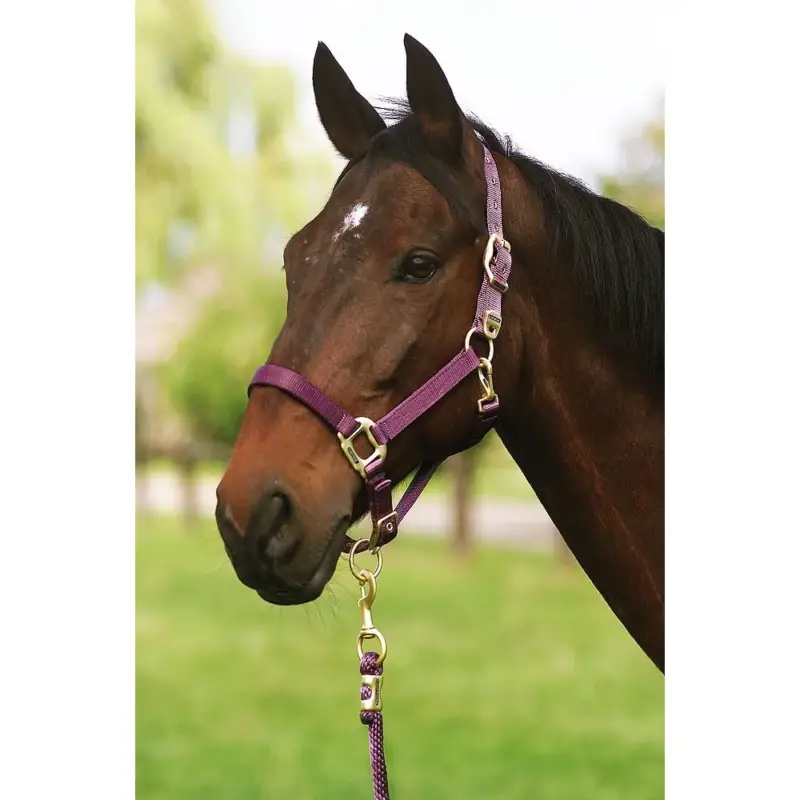 A Buon Prezzo Capezzina Equithème Nylon
