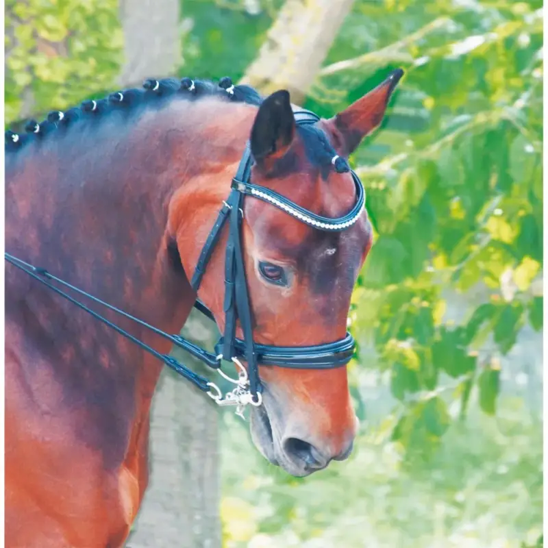 Miglior Prezzo Briglia da dressage in cuoio Cézanne T de T
