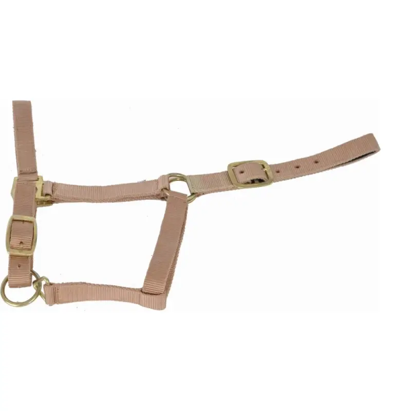 Capestro sintetico foderato in suede T de T Promo Stagionale